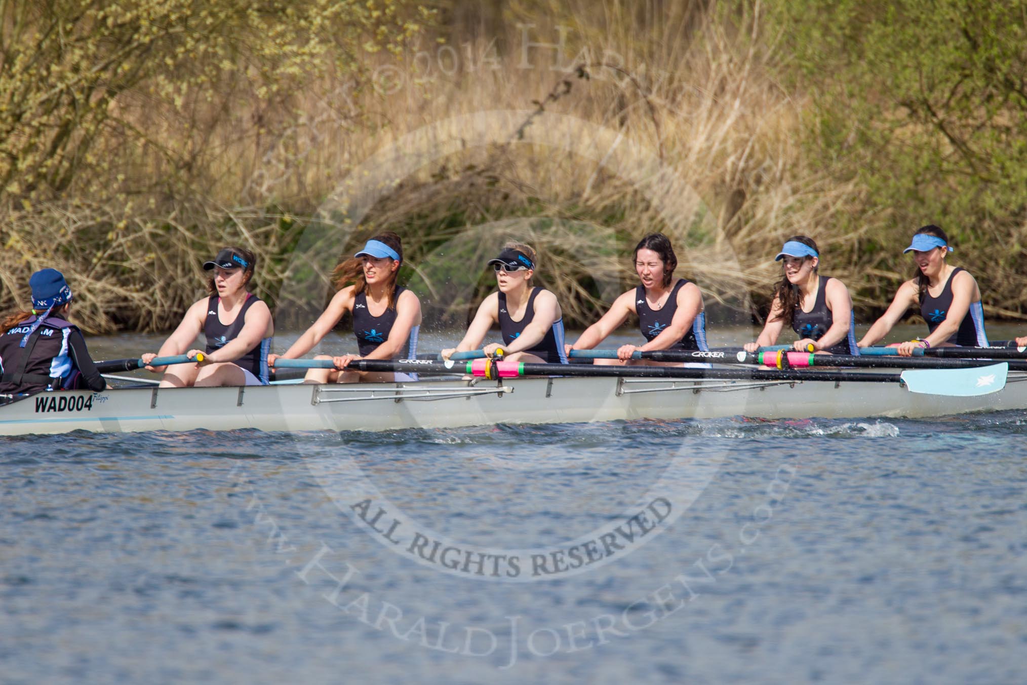 The Women's Boat Race and Henley Boat Races 2014: The Intercollegiate women's race. The Wadham College (Oxford) boat in the lead..
River Thames,
Henley-on-Thames,
Buckinghamshire,
United Kingdom,
on 30 March 2014 at 13:27, image #33