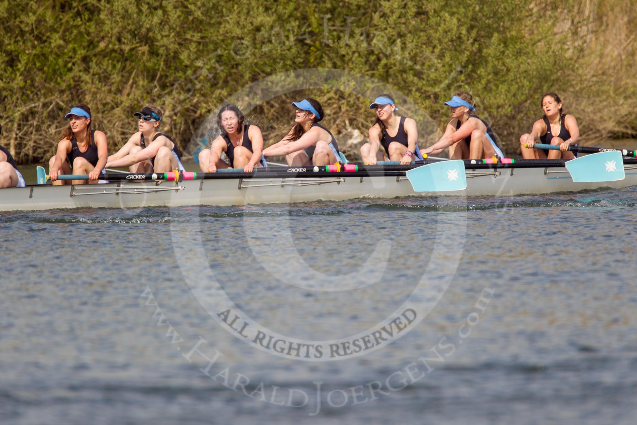 The Women's Boat Race and Henley Boat Races 2014: The Intercollegiate women's race. The Wadham College (Oxford) boat in the lead..
River Thames,
Henley-on-Thames,
Buckinghamshire,
United Kingdom,
on 30 March 2014 at 13:27, image #35