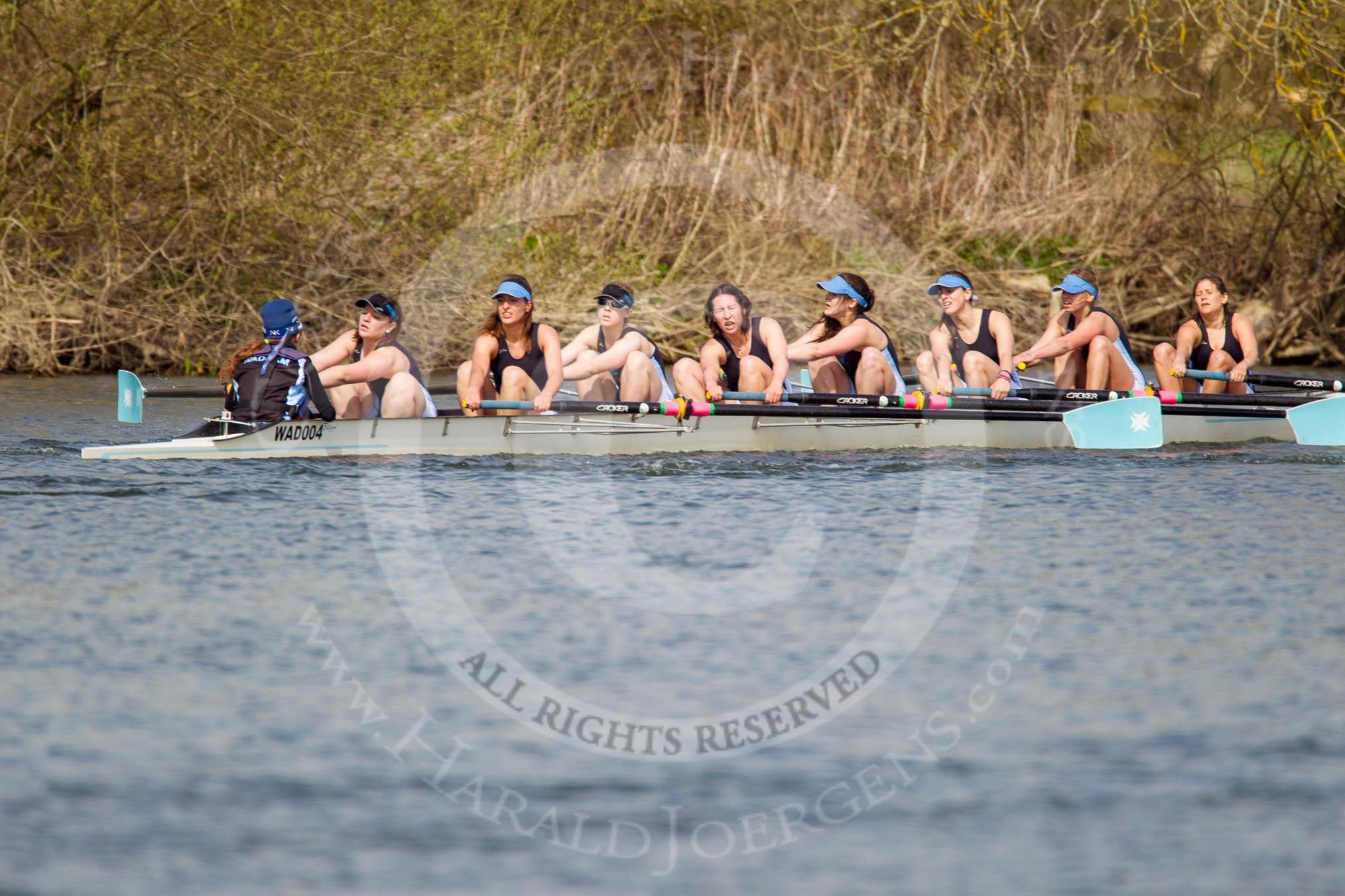 The Women's Boat Race and Henley Boat Races 2014: The Intercollegiate women's race. The Wadham College (Oxford) boat in the lead..
River Thames,
Henley-on-Thames,
Buckinghamshire,
United Kingdom,
on 30 March 2014 at 13:28, image #38