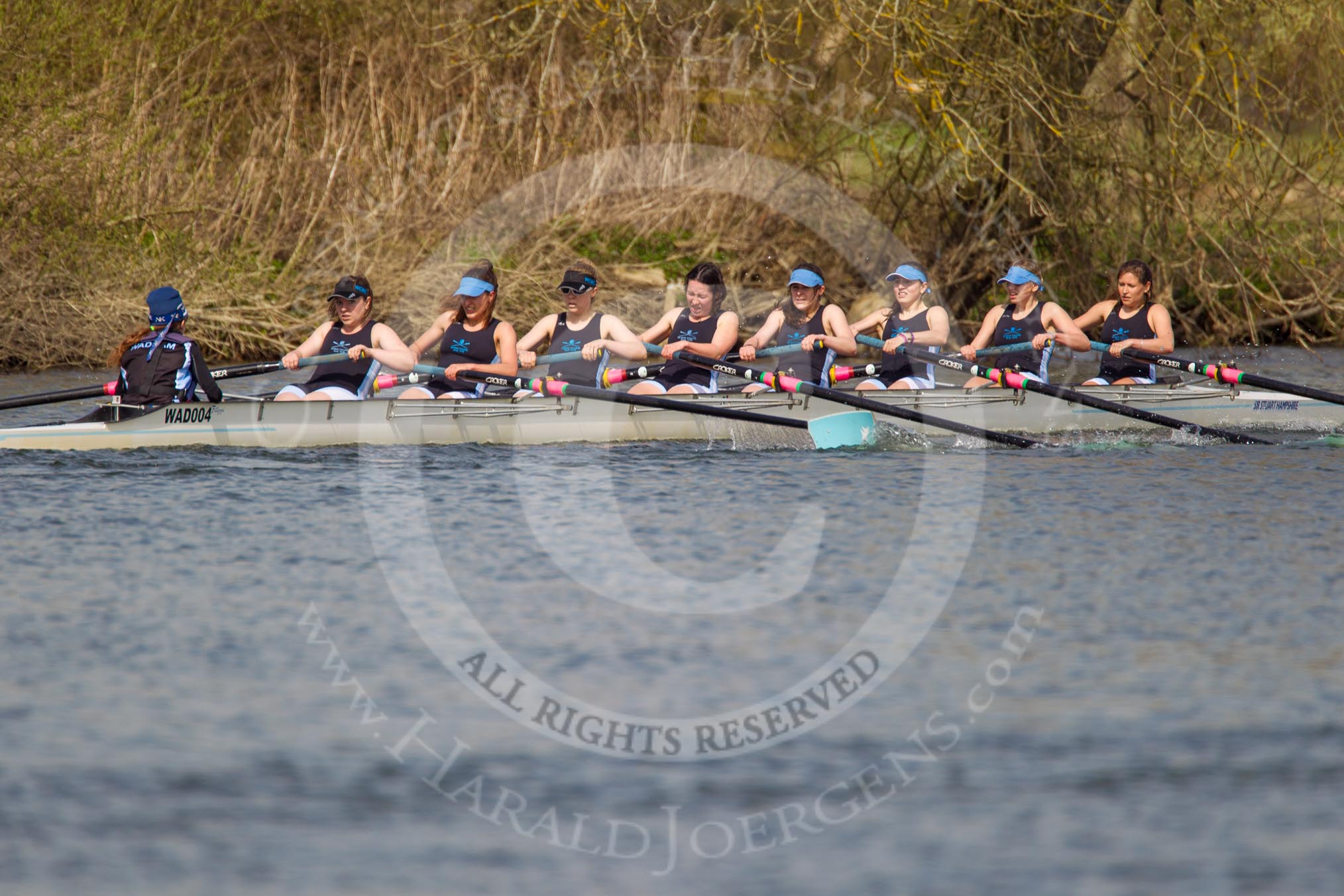 The Women's Boat Race and Henley Boat Races 2014: The Intercollegiate women's race. The Wadham College (Oxford) boat in the lead..
River Thames,
Henley-on-Thames,
Buckinghamshire,
United Kingdom,
on 30 March 2014 at 13:28, image #39