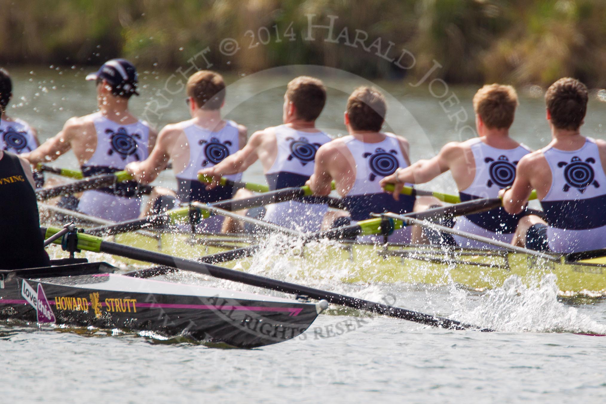 The Women's Boat Race and Henley Boat Races 2014: The Intercollegiate men's race. Oriel College (Oxford) and Downing College (Cambridge, on the left) are still close together..
River Thames,
Henley-on-Thames,
Buckinghamshire,
United Kingdom,
on 30 March 2014 at 13:51, image #88