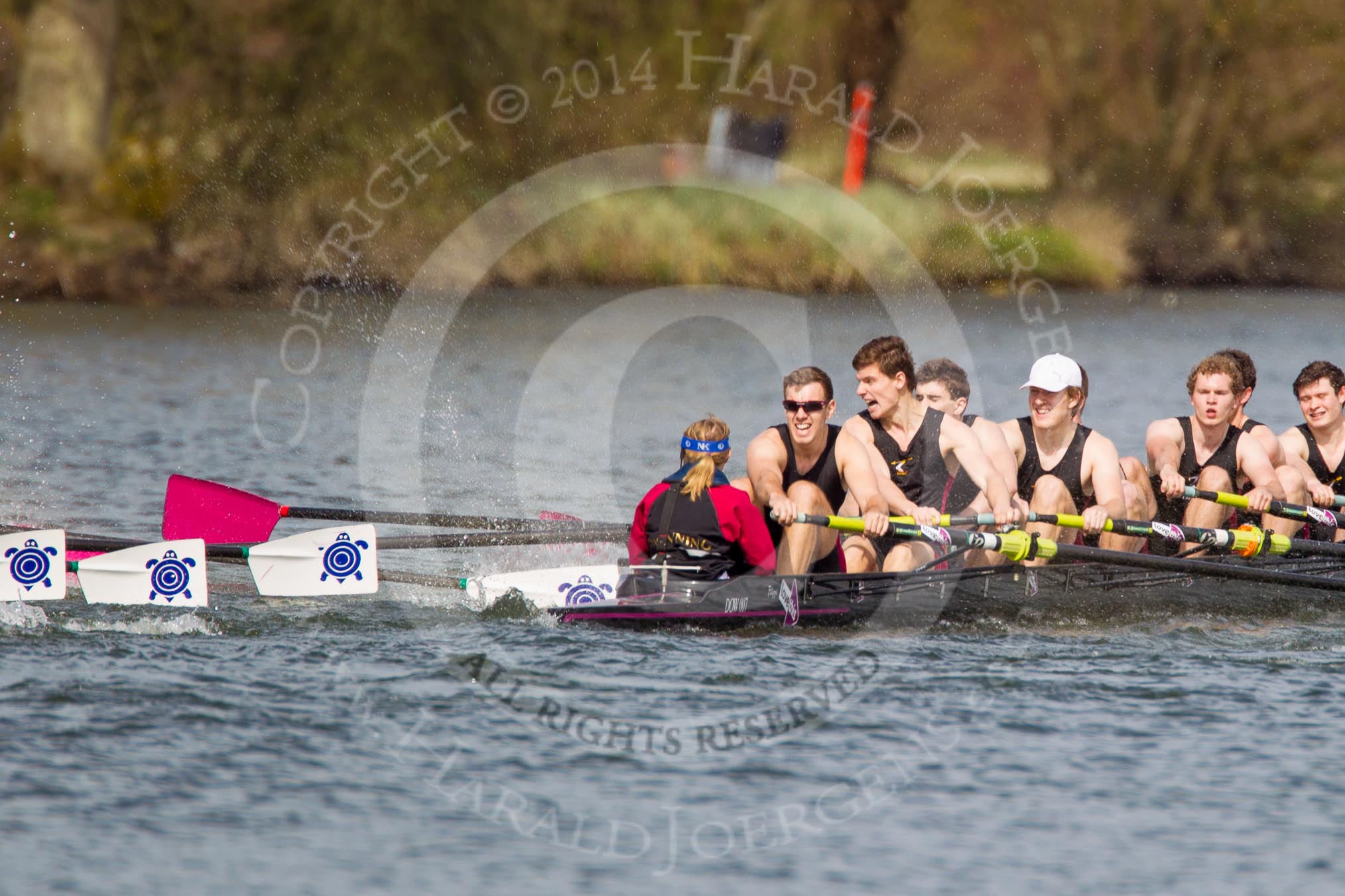 The Women's Boat Race and Henley Boat Races 2014: The Intercollegiate men's race. Downing College (Cambridge) and Oriel College (Oxford, on the left) getting close again..
River Thames,
Henley-on-Thames,
Buckinghamshire,
United Kingdom,
on 30 March 2014 at 13:52, image #111