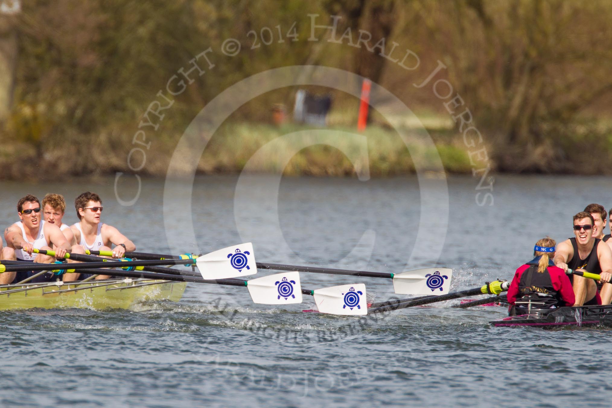 The Women's Boat Race and Henley Boat Races 2014: The Intercollegiate men's race. Downing College (Cambridge, on the right) and Oriel College (Oxford) getting close again..
River Thames,
Henley-on-Thames,
Buckinghamshire,
United Kingdom,
on 30 March 2014 at 13:52, image #113