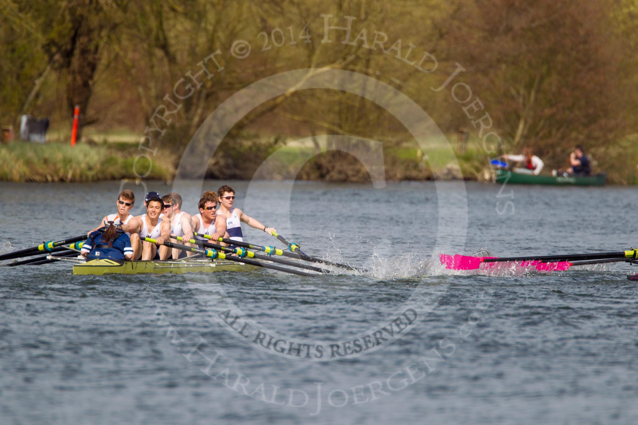 The Women's Boat Race and Henley Boat Races 2014: The Intercollegiate men's race. Downing College (Cambridge, on the right) and Oriel College (Oxford) getting too close, Oriel bow Callum Arnold in trouble..
River Thames,
Henley-on-Thames,
Buckinghamshire,
United Kingdom,
on 30 March 2014 at 13:52, image #115