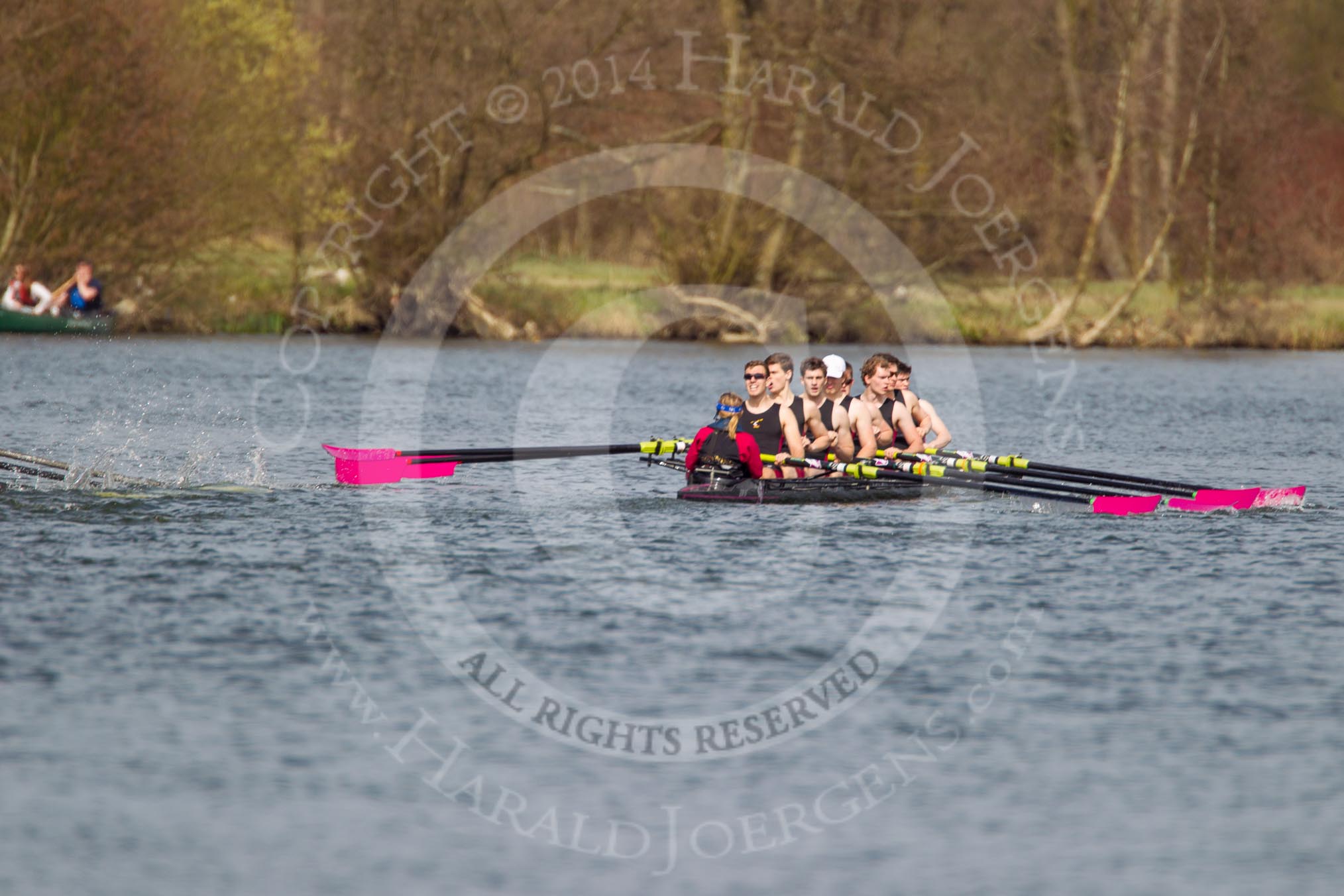 The Women's Boat Race and Henley Boat Races 2014: The Intercollegiate men's race. Downing College (Cambridge) approaching the finish line..
River Thames,
Henley-on-Thames,
Buckinghamshire,
United Kingdom,
on 30 March 2014 at 13:52, image #116