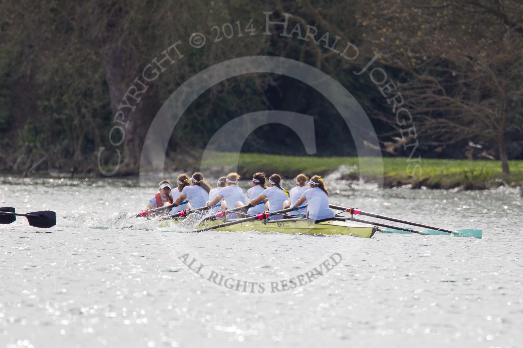 The Women's Boat Race and Henley Boat Races 2014: The Women's Reserves - Osiris v. Blondie race. Blondie (Cambridge) with cox Will McDermott, stroke Hannah Evans, 7 Nicole Stephens, 6 Sarah Crowther, 5 Hannah Roberts, 4 Gabriella Johannson, 3 Anouska Bartlett, 2 Sara Lackner, bow Tamsin Samuels..
River Thames,
Henley-on-Thames,
Buckinghamshire,
United Kingdom,
on 30 March 2014 at 14:16, image #146