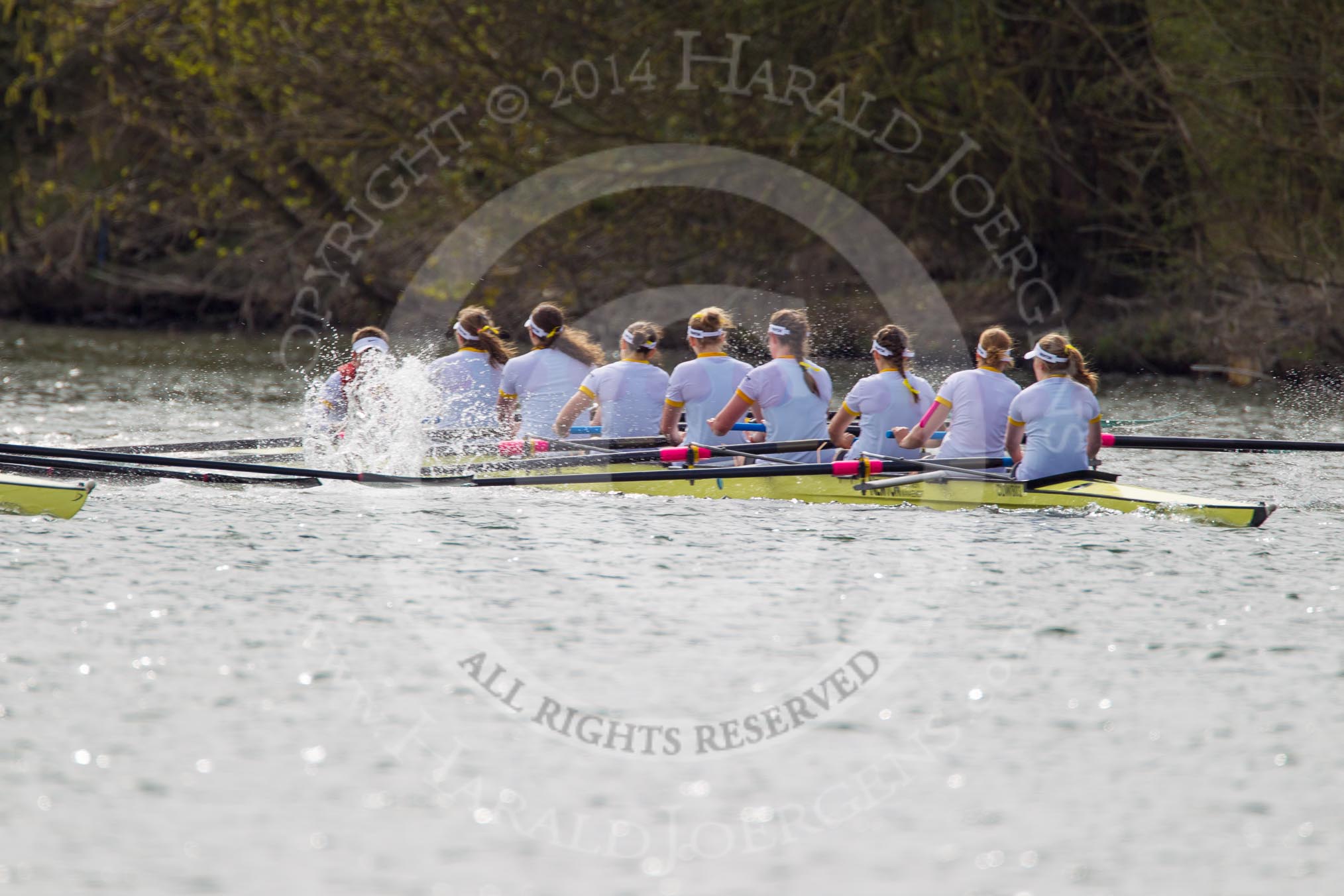 The Women's Boat Race and Henley Boat Races 2014: The Women's Reserves - Osiris v. Blondie race. Osiris (Oxford) on the left,  and Blondie (Cambridge) are quite close together again..
River Thames,
Henley-on-Thames,
Buckinghamshire,
United Kingdom,
on 30 March 2014 at 14:16, image #150