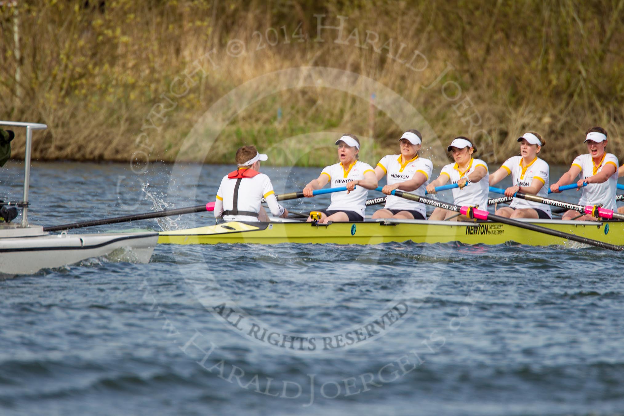 The Women's Boat Race and Henley Boat Races 2014: The Women's Reserves - Osiris v. Blondie race. In Blondie (Cambridge) cox Will McDermott, stroke Hannah Evans, 7 Nicole Stephens, 6 Sarah Crowther, 5 Hannah Roberts, 4 Gabriella Johannson..
River Thames,
Henley-on-Thames,
Buckinghamshire,
United Kingdom,
on 30 March 2014 at 14:17, image #172