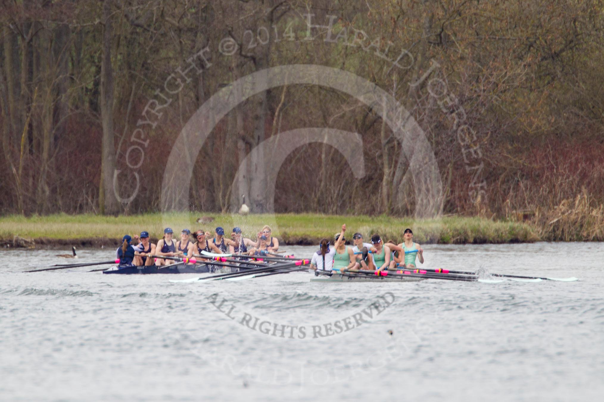 The Women's Boat Race and Henley Boat Races 2014: The Lightweight Women's Boat Race - OUWLRC and CUWBC Lightweights after passing the finish line..
River Thames,
Henley-on-Thames,
Buckinghamshire,
United Kingdom,
on 30 March 2014 at 14:50, image #252