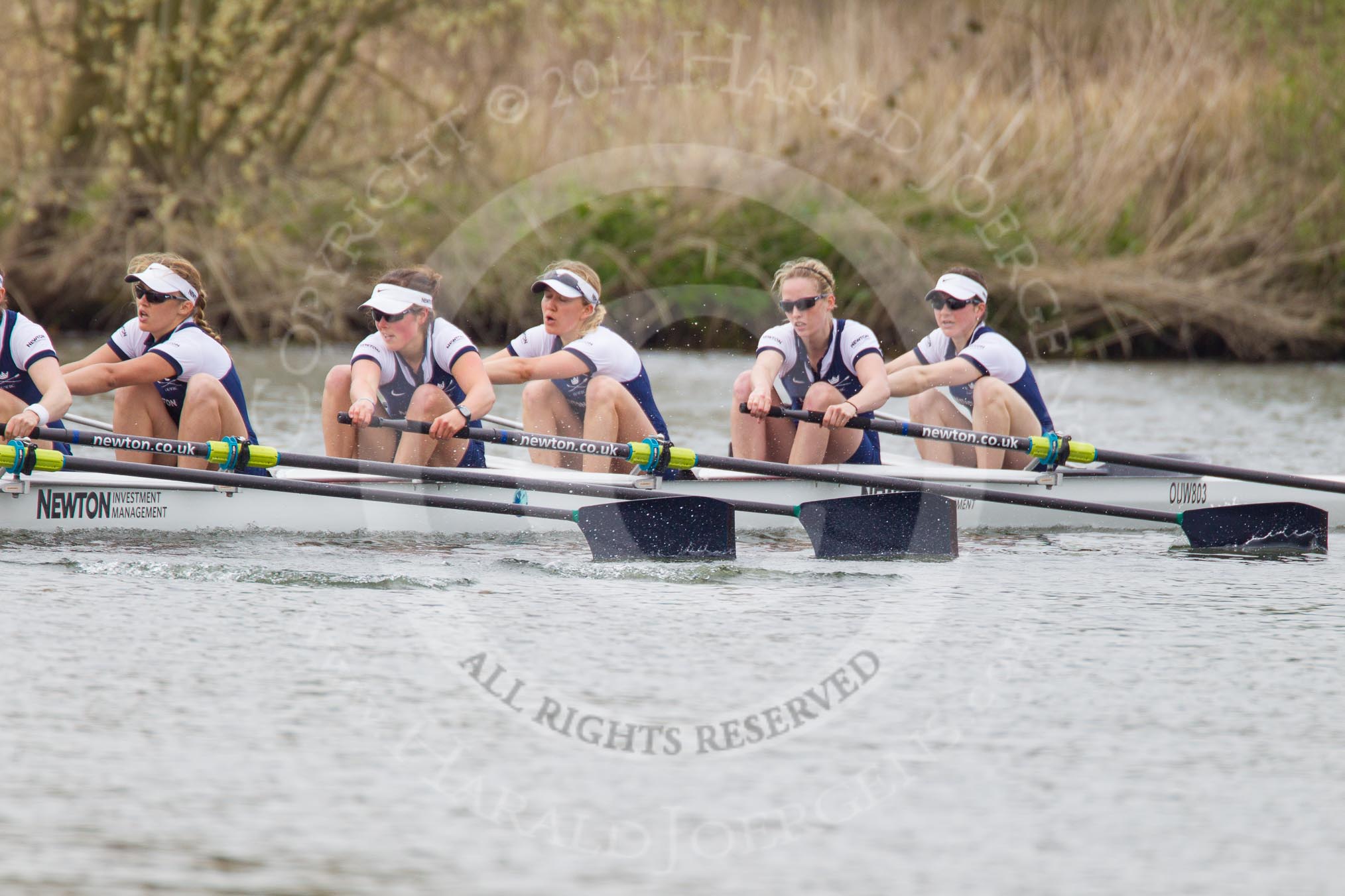 The Women's Boat Race and Henley Boat Races 2014: The Newton Women's Boat Race - Oxford in the lead, here in the 5 seat Nadine Graedel Iberg, 4 Lauren Kedar, 3 Maxie Scheske, 2 Alice Carrington-Windo, bow Elizabeth Fenje..
River Thames,
Henley-on-Thames,
Buckinghamshire,
United Kingdom,
on 30 March 2014 at 15:14, image #301