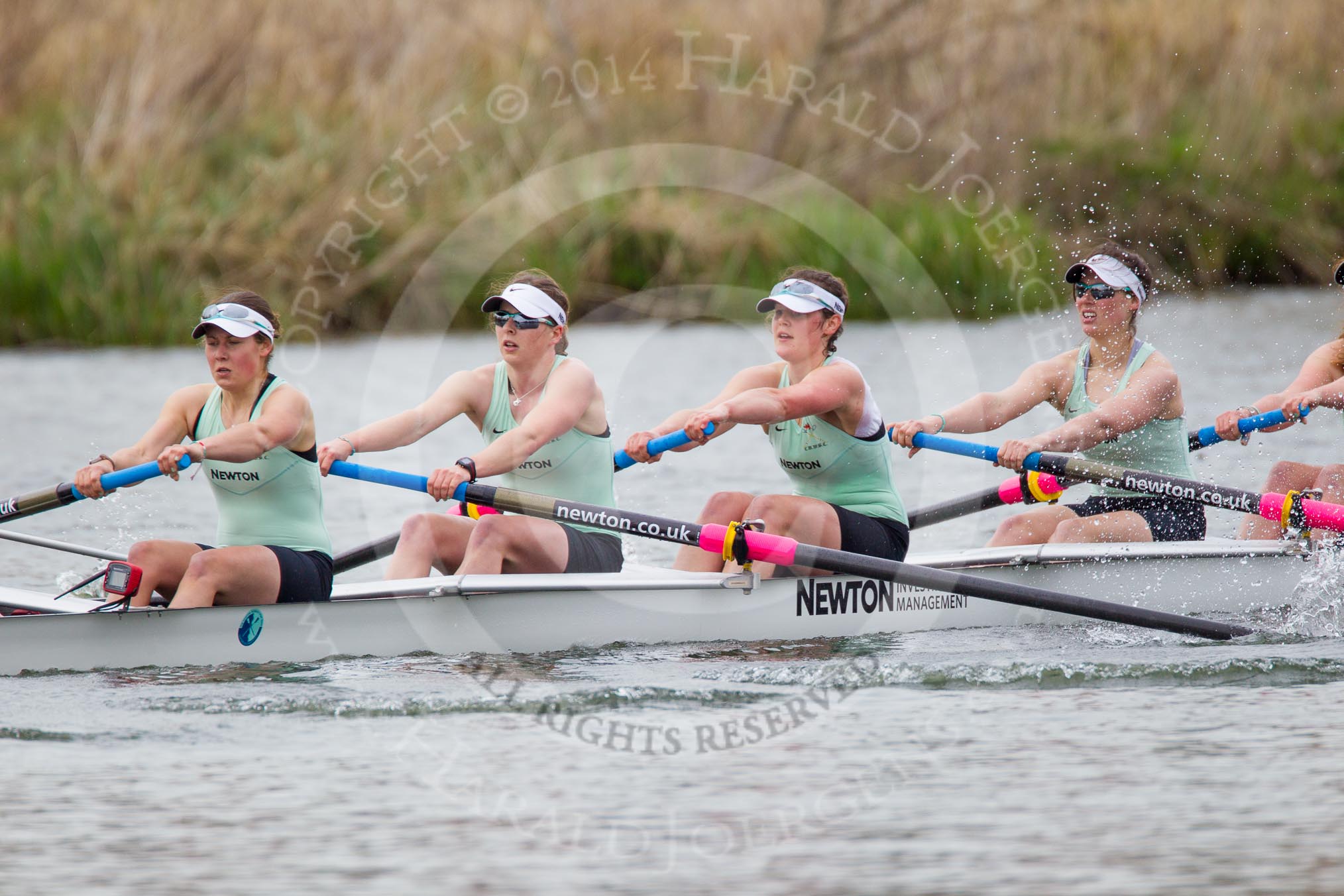 The Women's Boat Race and Henley Boat Races 2014: The Newton Women's Boat Race - in the Cambridge boat stroke Emily Day, 7 Claire Watkins, 6 Melissa Wilson, 5 Catherine Foot..
River Thames,
Henley-on-Thames,
Buckinghamshire,
United Kingdom,
on 30 March 2014 at 15:15, image #305