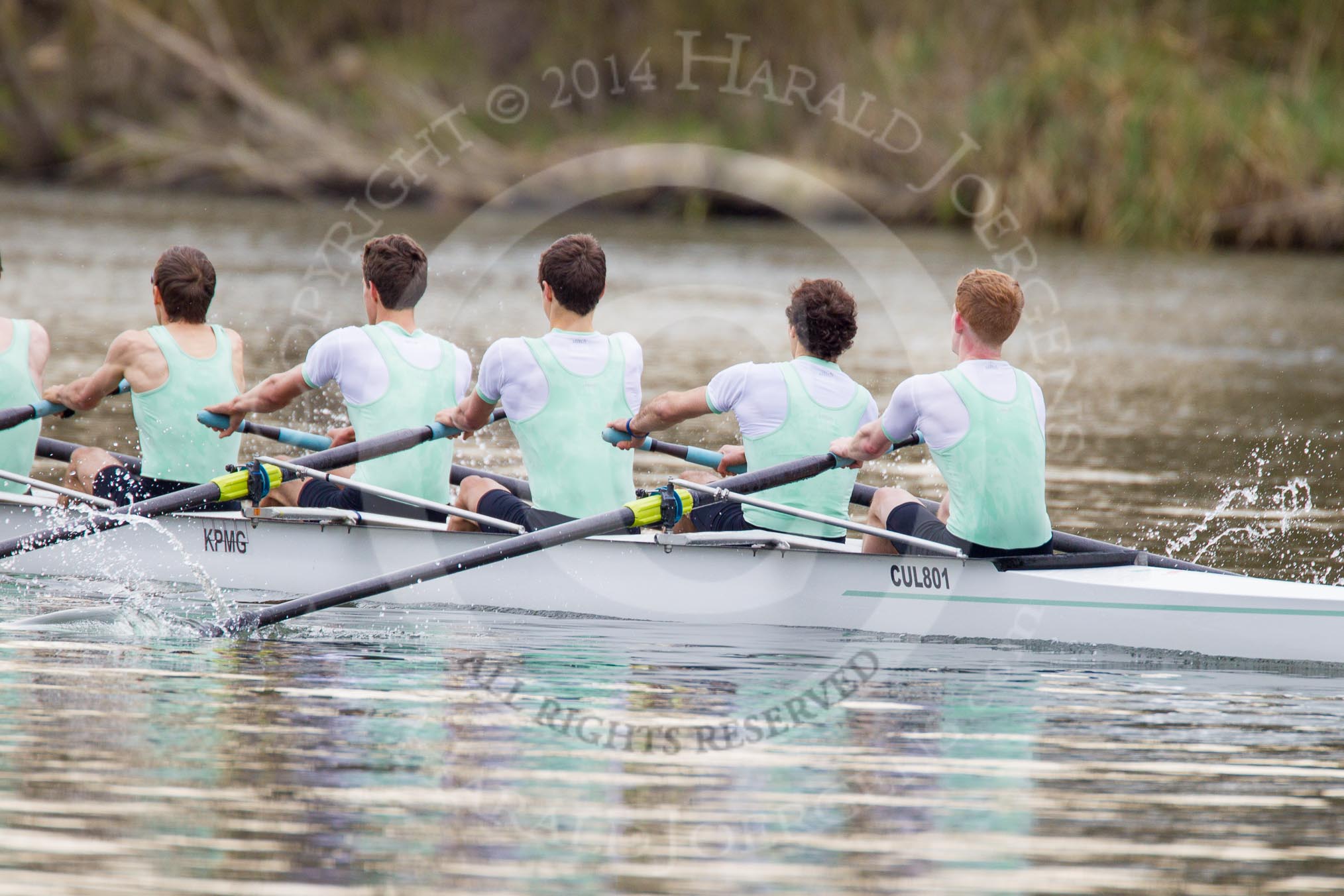 The Women's Boat Race and Henley Boat Races 2014: The Lightweight Men's Boat Race - OULRC vs CULRC, Cambridge is leading: 5 Nikodem Szumilo, 4 Andrei Lebed, 3 James Green, 2 Emanuel Malek, bow Greg Street..
River Thames,
Henley-on-Thames,
Buckinghamshire,
United Kingdom,
on 30 March 2014 at 15:40, image #372