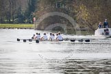 The Women's Boat Race and Henley Boat Races 2014: The Intercollegiate women's race. In the Trinity College (Cambridge) boat are cox Yining Nie, stroke Kate Bruce-Lockhart, 7 Julia Attwood, 6 Daisy Gomersall, 5 Blanka Kesek, 4 Danielle Broadfoot, 3 Lydia Bass, 2 Alexa Pohl, bow Nina Kamcev.
River Thames,
Henley-on-Thames,
Buckinghamshire,
United Kingdom,
on 30 March 2014 at 13:27, image #12