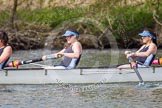 The Women's Boat Race and Henley Boat Races 2014: The Intercollegiate women's race. The Wadham College (Oxford) boat, 4 seat Rachel Anderson, 3 Lia Orlando..
River Thames,
Henley-on-Thames,
Buckinghamshire,
United Kingdom,
on 30 March 2014 at 13:27, image #19