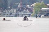 The Women's Boat Race and Henley Boat Races 2014: The Intercollegiate men's race - shortly after the start at Henley. Oriel College (Oxford) on the right, Downing College (Cambridge) on the left..
River Thames,
Henley-on-Thames,
Buckinghamshire,
United Kingdom,
on 30 March 2014 at 13:50, image #74