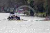 The Women's Boat Race and Henley Boat Races 2014: The Women's Reserves - Osiris v. Blondie race. Osiris (Oxford) on the left,  and Blondie (Cambridge) are still quite close together..
River Thames,
Henley-on-Thames,
Buckinghamshire,
United Kingdom,
on 30 March 2014 at 14:16, image #145