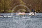 The Women's Boat Race and Henley Boat Races 2014: The Women's Reserves - Osiris v. Blondie race. Blondie (Cambridge) is approaching the finish line..
River Thames,
Henley-on-Thames,
Buckinghamshire,
United Kingdom,
on 30 March 2014 at 14:18, image #179
