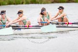 The Women's Boat Race and Henley Boat Races 2014: The CUWBC Lightweights boat with 4 Eve Edwards, 3 Lottie Meggit, 2 Christina Ostacchini, bow  Clare Hall..
River Thames,
Henley-on-Thames,
Buckinghamshire,
United Kingdom,
on 30 March 2014 at 14:49, image #237