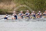 The Women's Boat Race and Henley Boat Races 2014: The Newton Women's Boat Race - Oxford in the lead, here cox Erin Wysocki-Jones, stroke Amber de Vere, 7 Anastasia Chitty, 6 Laura Savarese, 5 Nadine Graedel Iberg, 4 Lauren Kedar, 3 Maxie Scheske..
River Thames,
Henley-on-Thames,
Buckinghamshire,
United Kingdom,
on 30 March 2014 at 15:15, image #302