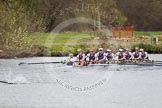 The Women's Boat Race and Henley Boat Races 2014: The Newton Women's Boat Race - Oxford in the lead, approaching the finish line, Cambridge behind and just visible on the left..
River Thames,
Henley-on-Thames,
Buckinghamshire,
United Kingdom,
on 30 March 2014 at 15:15, image #308