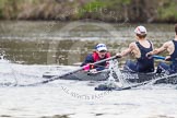 The Women's Boat Race and Henley Boat Races 2014: The Lightweight Men's Boat Race - OULRC vs CULRC. In the Oxford boat cox Hannah Keenan, stroke Matt Kerin, 7 Andrew Saul..
River Thames,
Henley-on-Thames,
Buckinghamshire,
United Kingdom,
on 30 March 2014 at 15:40, image #378