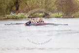 The Women's Boat Race and Henley Boat Races 2014: The Lightweight Men's Boat Race - OULRC vs CULRC. Oxford boat is reducing the distance to the leading Cambridge boat..
River Thames,
Henley-on-Thames,
Buckinghamshire,
United Kingdom,
on 30 March 2014 at 15:41, image #399