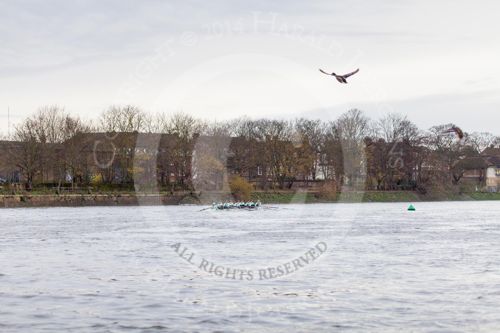1412091445455D20704HaraldJoergens_v1.jpg