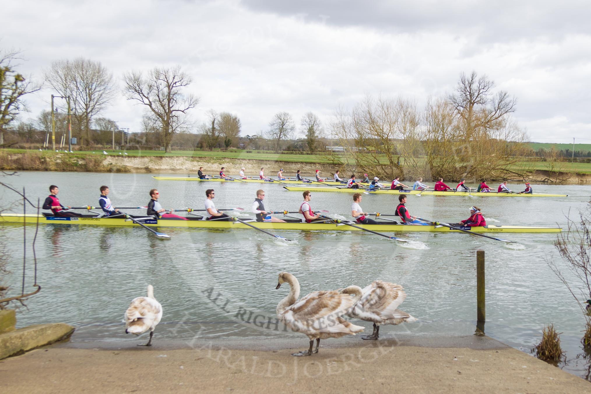 The Boat Race season 2015: OUWBC training Wallingford: Rowers passing Fleming Boathouse on the Upper Thames at Wallingford.

Wallingford,

United Kingdom,
on 04 March 2015 at 13:23, image #2