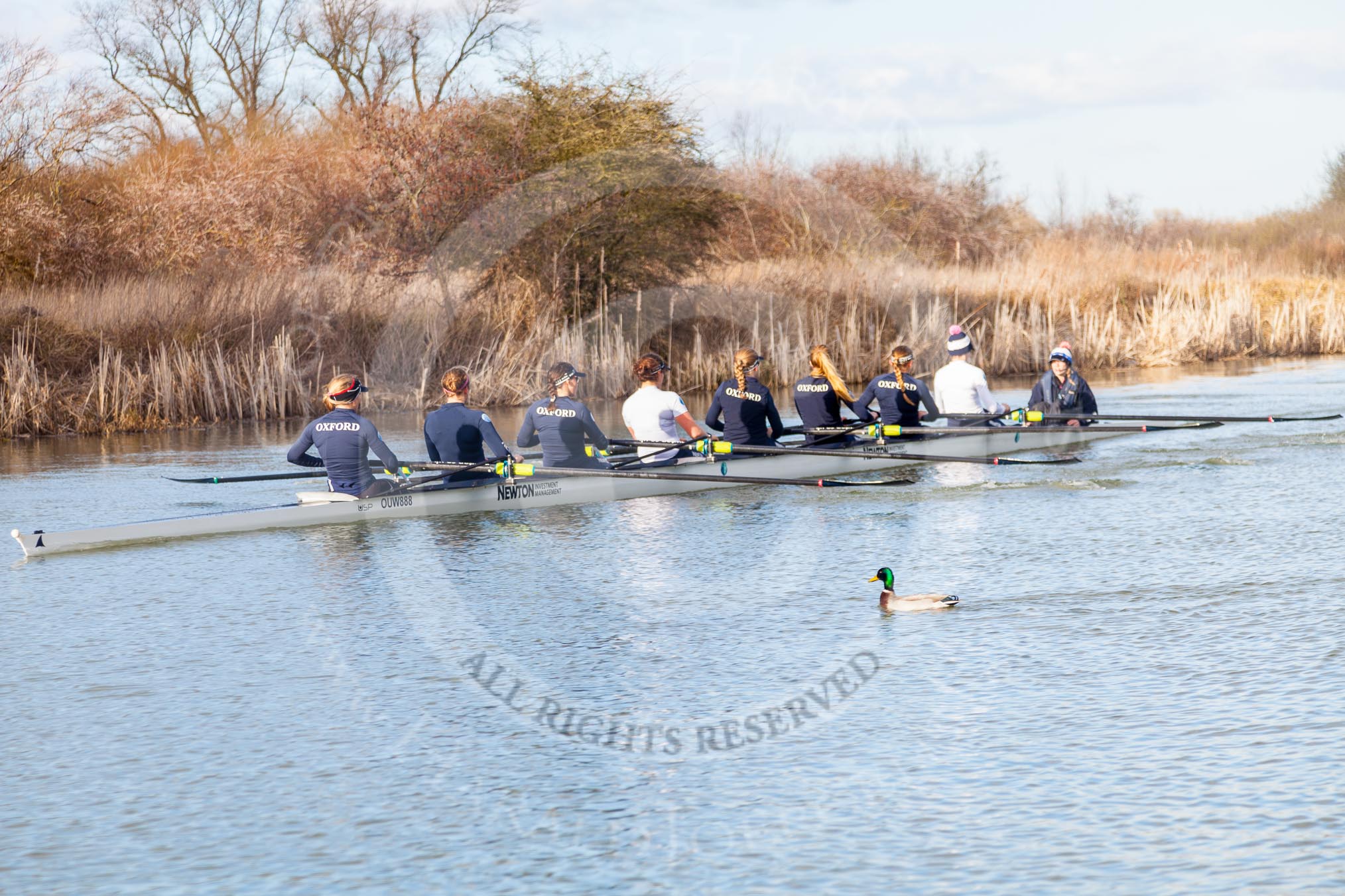 The Boat Race season 2015: OUWBC training Wallingford.

Wallingford,

United Kingdom,
on 04 March 2015 at 15:47, image #82