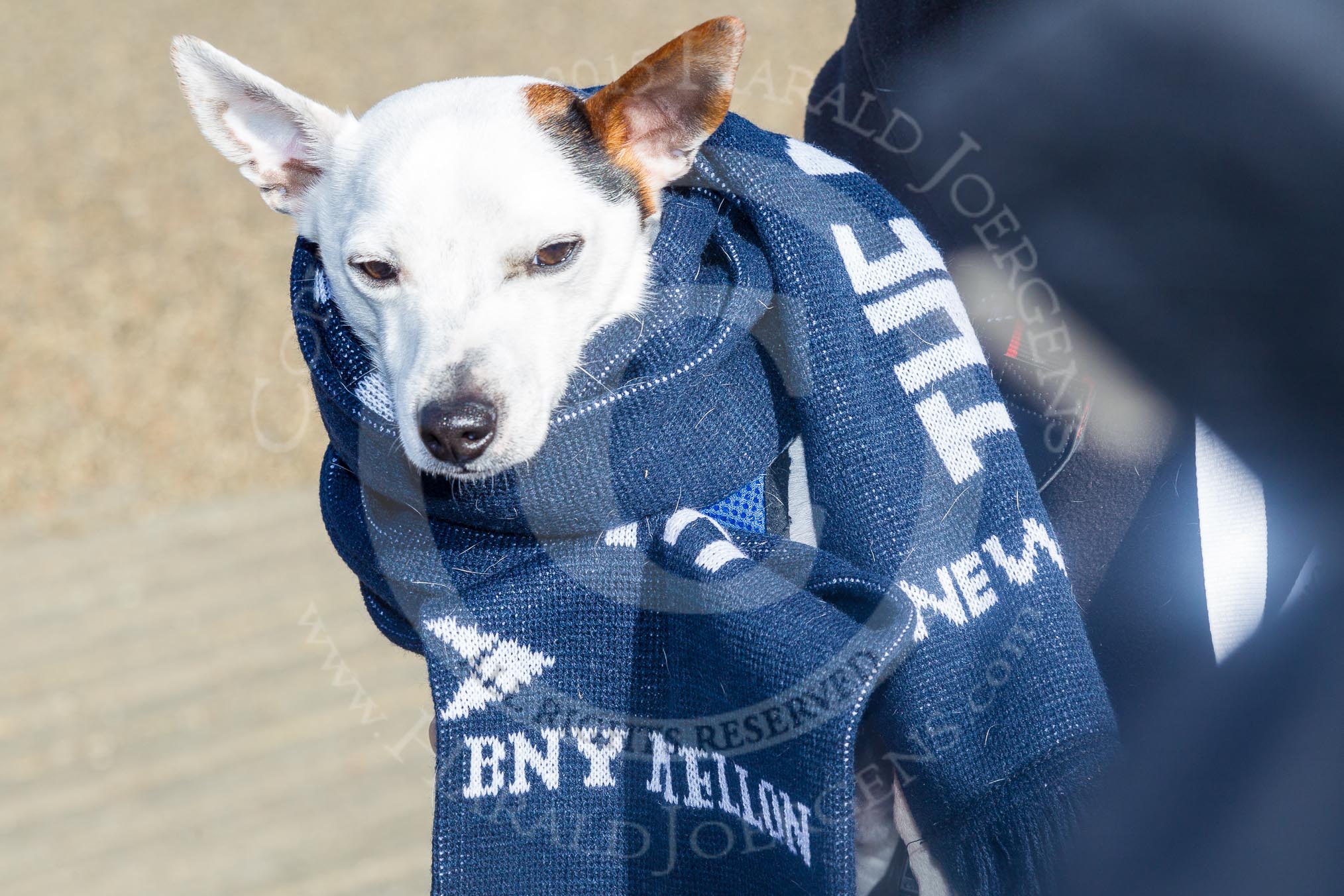 The Boat Race season 2015 - Newton Women's Boat Race.
River Thames between Putney and Mortlake,
London,

United Kingdom,
on 11 April 2015 at 15:47, image #64