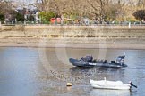 The Boat Race season 2015 - Newton Women's Boat Race.
River Thames between Putney and Mortlake,
London,

United Kingdom,
on 11 April 2015 at 14:28, image #26
