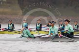 The Boat Race season 2016 - Women's Boat Race Trial Eights (CUWBC, Cambridge): "Tideway" with Cox-Olivia Godwin, stroke-Daphne Martschenko, 7-Thea Zabell, and "Twickenham"  (behind).
River Thames between Putney Bridge and Mortlake,
London SW15,

United Kingdom,
on 10 December 2015 at 10:58, image #37