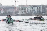 The Boat Race season 2016 - Women's Boat Race Trial Eights (CUWBC, Cambridge): "Tideway" and "Twickenham" racing near Fulham Reach.
River Thames between Putney Bridge and Mortlake,
London SW15,

United Kingdom,
on 10 December 2015 at 11:07, image #64