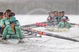 The Boat Race season 2016 - Women's Boat Race Trial Eights (CUWBC, Cambridge): "Tideway" chasing "Twickenham" near Fulham Reach.
River Thames between Putney Bridge and Mortlake,
London SW15,

United Kingdom,
on 10 December 2015 at 11:08, image #73