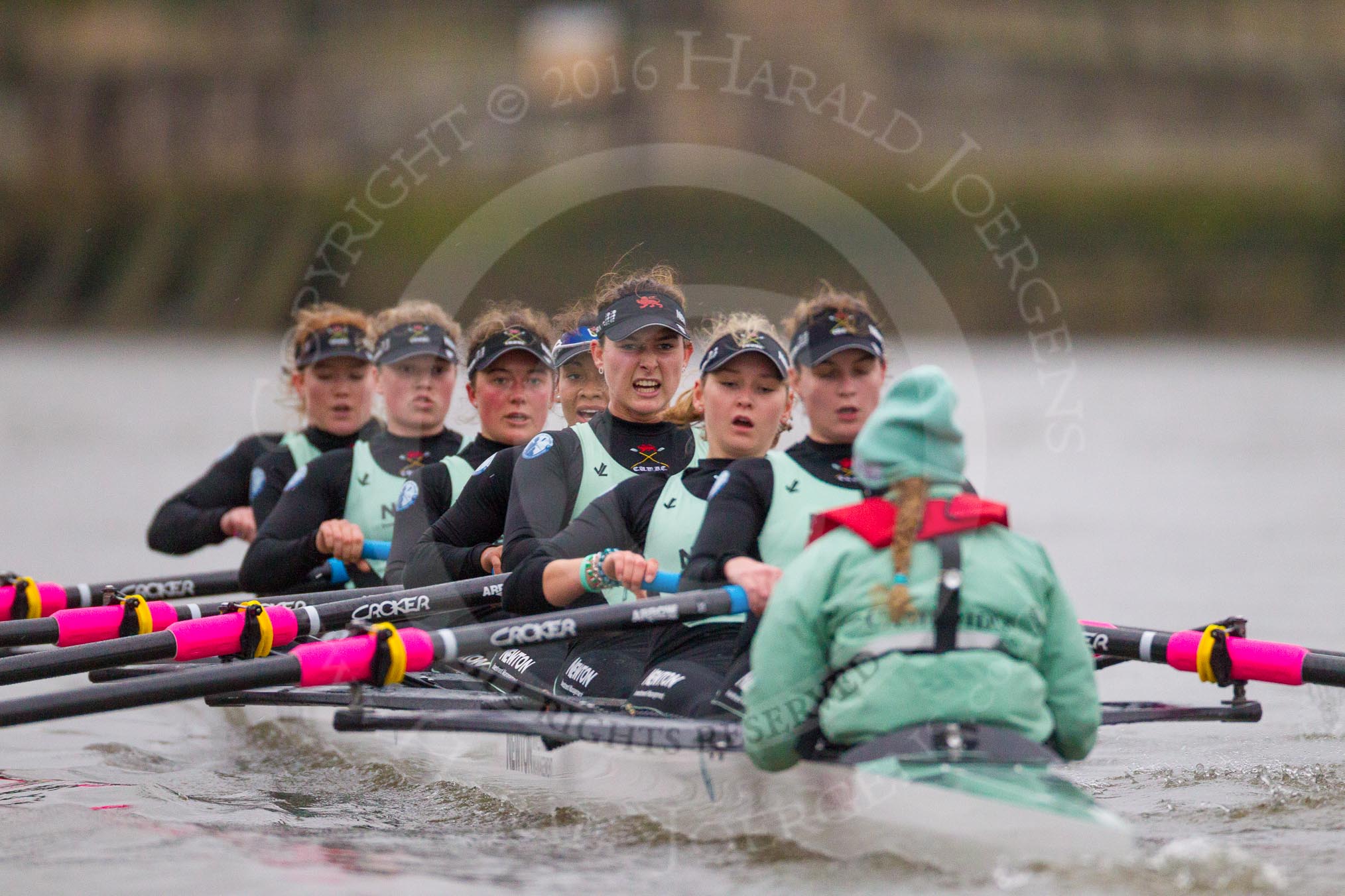 The Boat Race season 2016 - Women's Boat Race Fixture CUWBC vs OBUBC.
River Thames between Putney Bridge and Mortlake,
London SW15,

United Kingdom,
on 31 January 2016 at 16:06, image #96