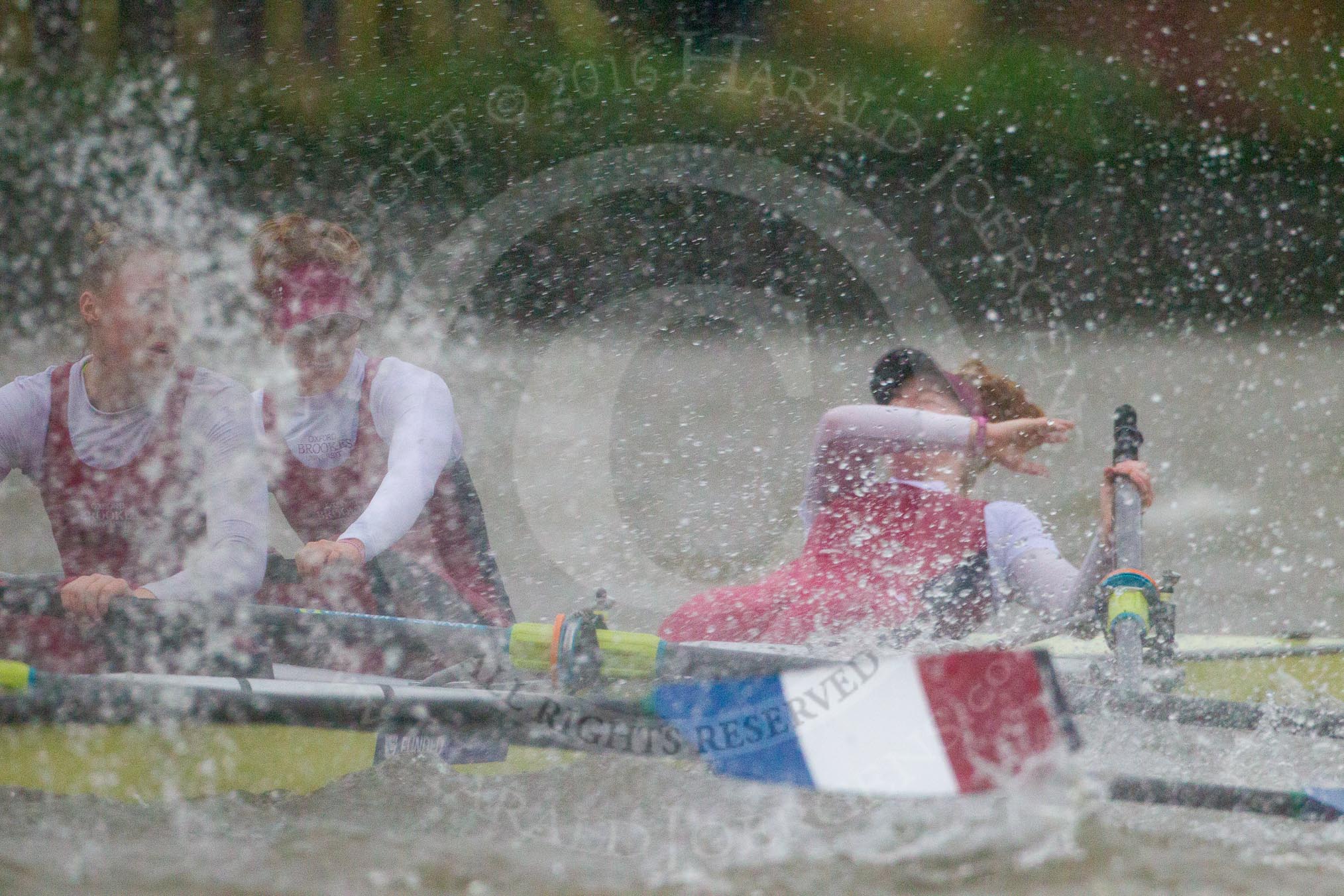 The Boat Race season 2016 - Women's Boat Race Fixture CUWBC vs OBUBC.
River Thames between Putney Bridge and Mortlake,
London SW15,

United Kingdom,
on 31 January 2016 at 16:26, image #145