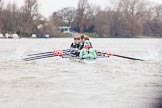 The Boat Race season 2016 - Women's Boat Race Fixture CUWBC vs OBUBC.
River Thames between Putney Bridge and Mortlake,
London SW15,

United Kingdom,
on 31 January 2016 at 15:59, image #54