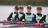 The Boat Race season 2016 - Women's Boat Race Fixture CUWBC vs OBUBC.
River Thames between Putney Bridge and Mortlake,
London SW15,

United Kingdom,
on 31 January 2016 at 16:04, image #85