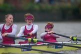The Boat Race season 2016 - Women's Boat Race Fixture CUWBC vs OBUBC.
River Thames between Putney Bridge and Mortlake,
London SW15,

United Kingdom,
on 31 January 2016 at 16:26, image #151