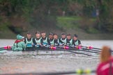 The Boat Race season 2016 - Women's Boat Race Fixture CUWBC vs OBUBC.
River Thames between Putney Bridge and Mortlake,
London SW15,

United Kingdom,
on 31 January 2016 at 16:29, image #165