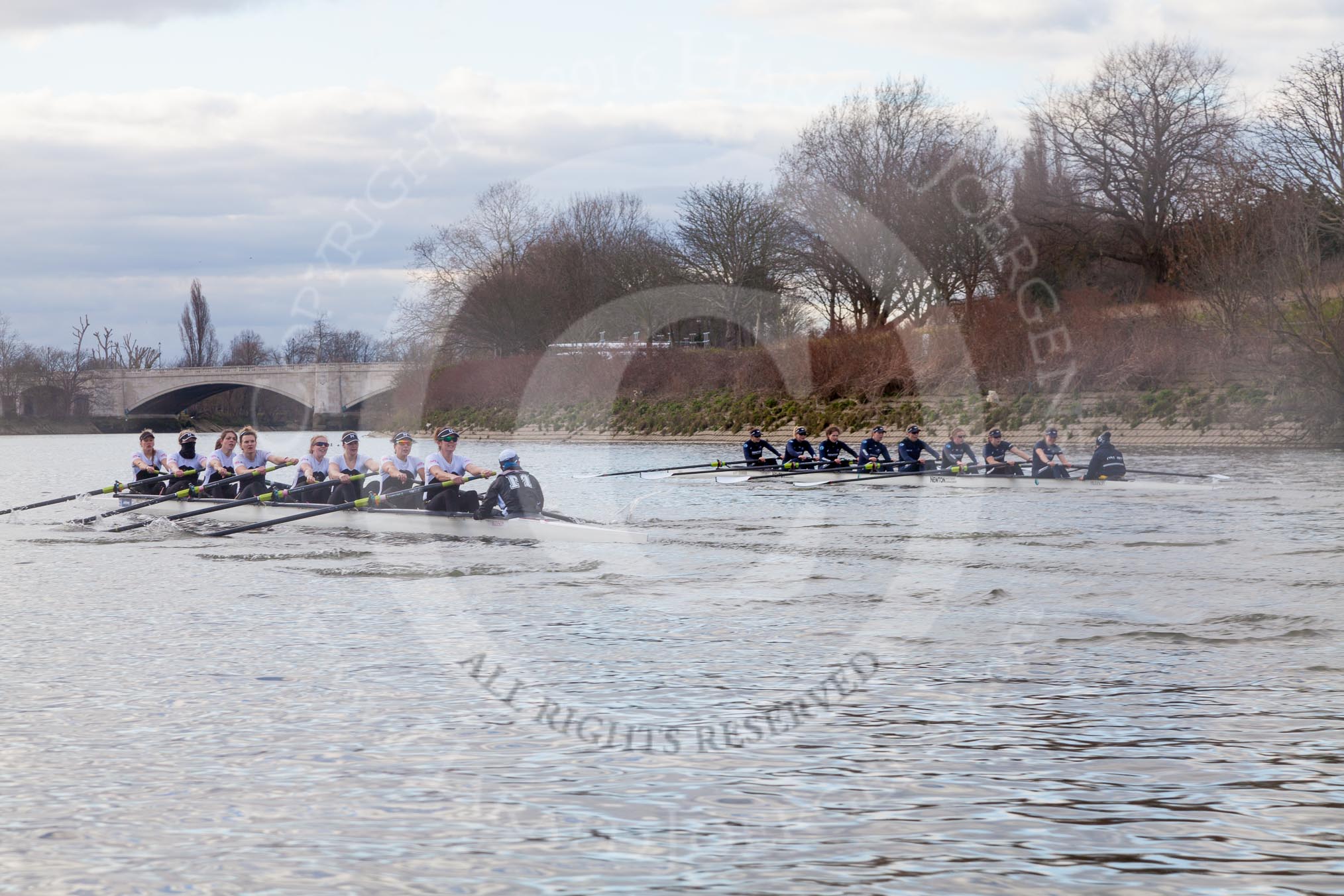 .




on 28 February 2016 at 15:37, image #161