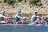 The Boat Race season 2016 -  The Cancer Research Women's Boat Race.
River Thames between Putney Bridge and Mortlake,
London SW15,

United Kingdom,
on 27 March 2016 at 14:31, image #303
