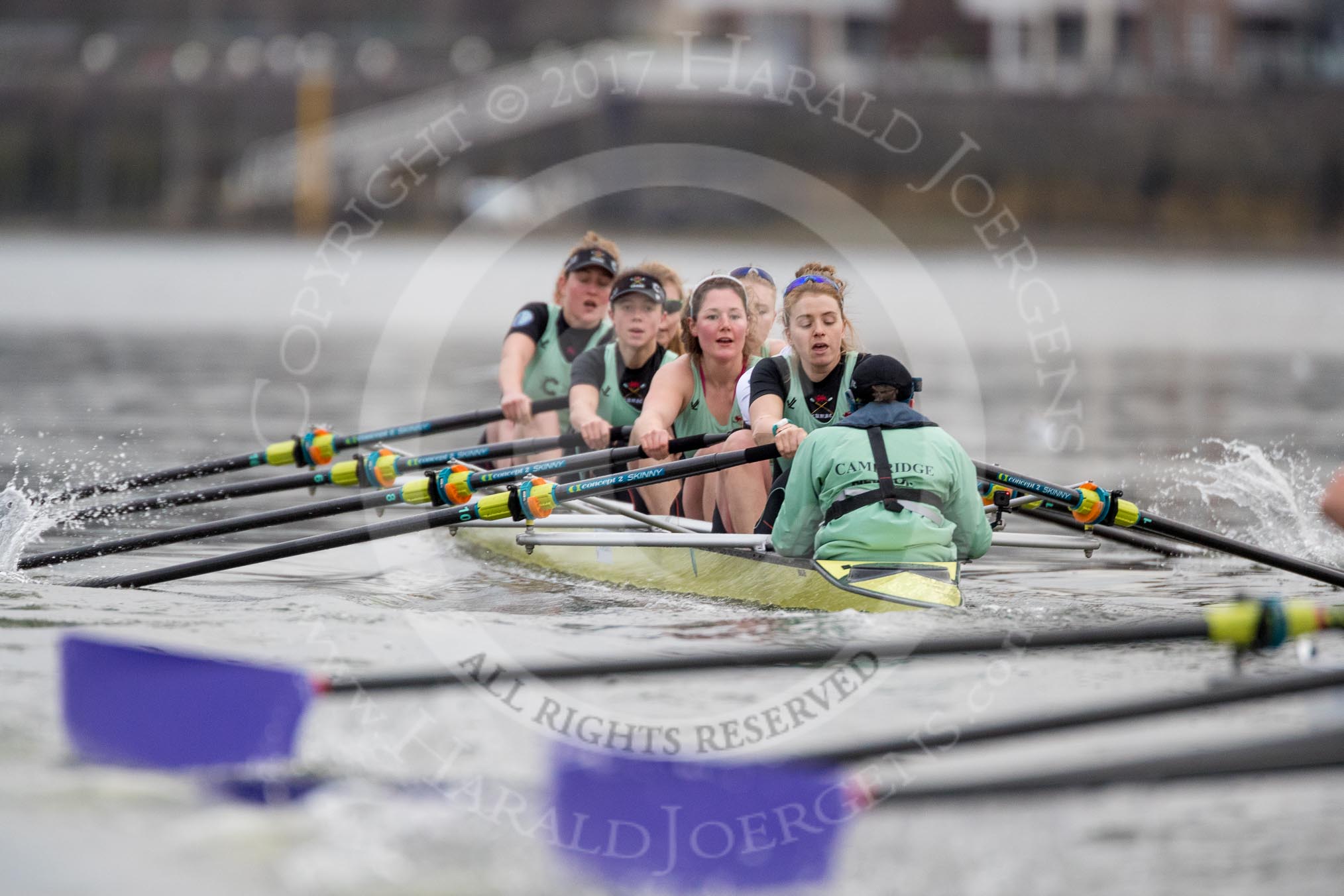 The Boat Race season 2017 - Women's Boat Race Fixture CUWBC vs Univerity of London: CUWBC ahead of UL BC by at least ome length between the Milepost and Hammersmith Bridge.
River Thames between Putney Bridge and Mortlake,
London SW15,

United Kingdom,
on 19 February 2017 at 16:05, image #86