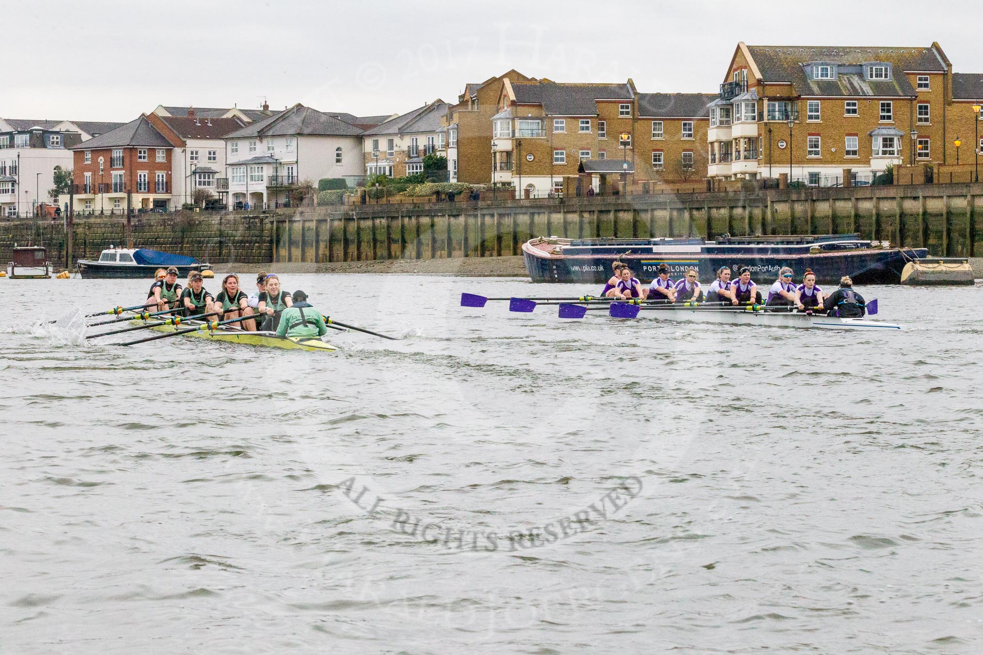 The Boat Race season 2017 - Women's Boat Race Fixture CUWBC vs Univerity of London: CUWBC and UL BC at the start of the second piece of the fixture, near Chiswick Pier.
River Thames between Putney Bridge and Mortlake,
London SW15,

United Kingdom,
on 19 February 2017 at 16:20, image #115