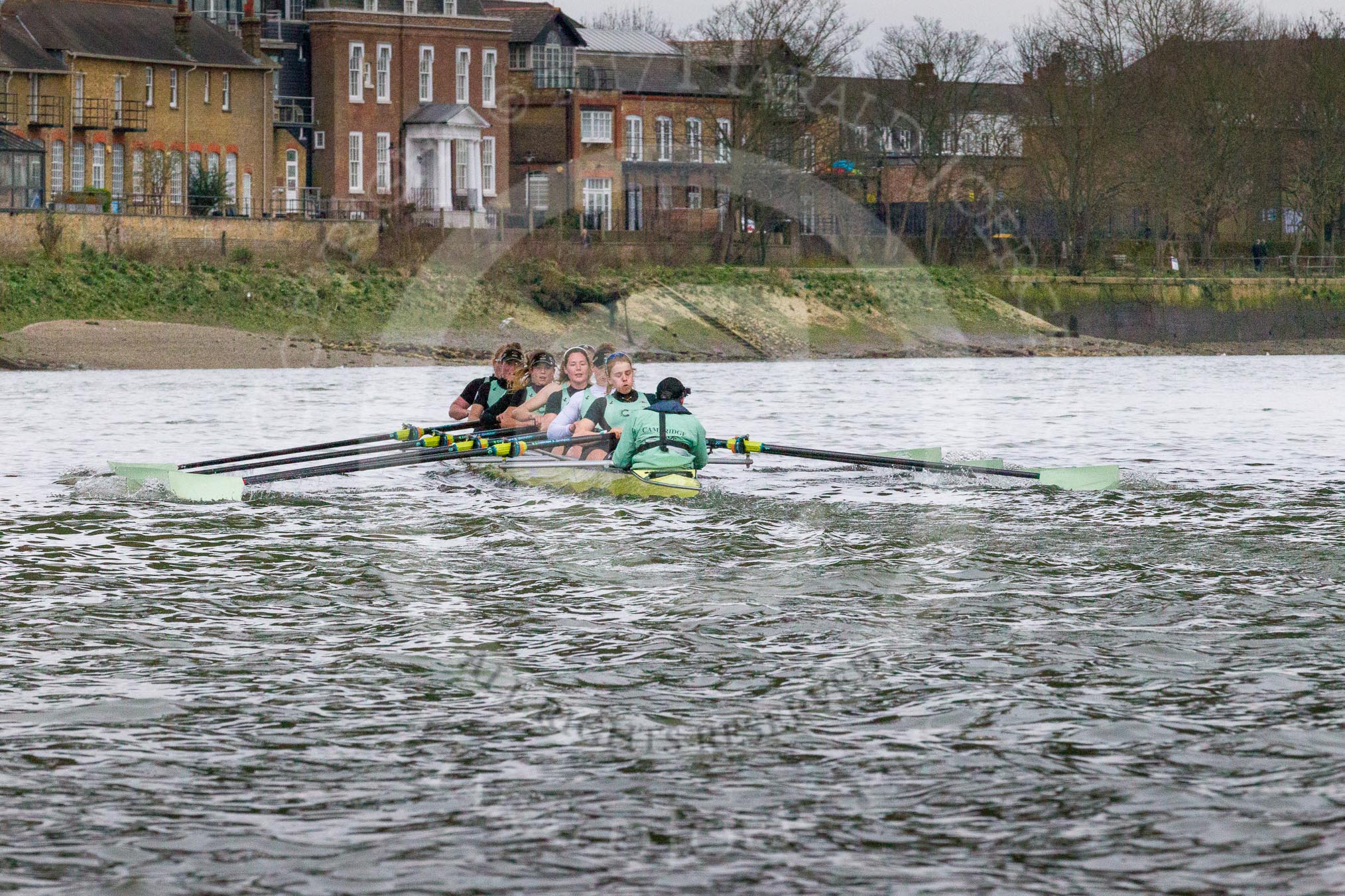 The Boat Race season 2017 - Women's Boat Race Fixture CUWBC vs Univerity of London: The CUWBC eight, leading by well over a length after Barnes Bridge during the 2nd piece of the fixture.
River Thames between Putney Bridge and Mortlake,
London SW15,

United Kingdom,
on 19 February 2017 at 16:24, image #130