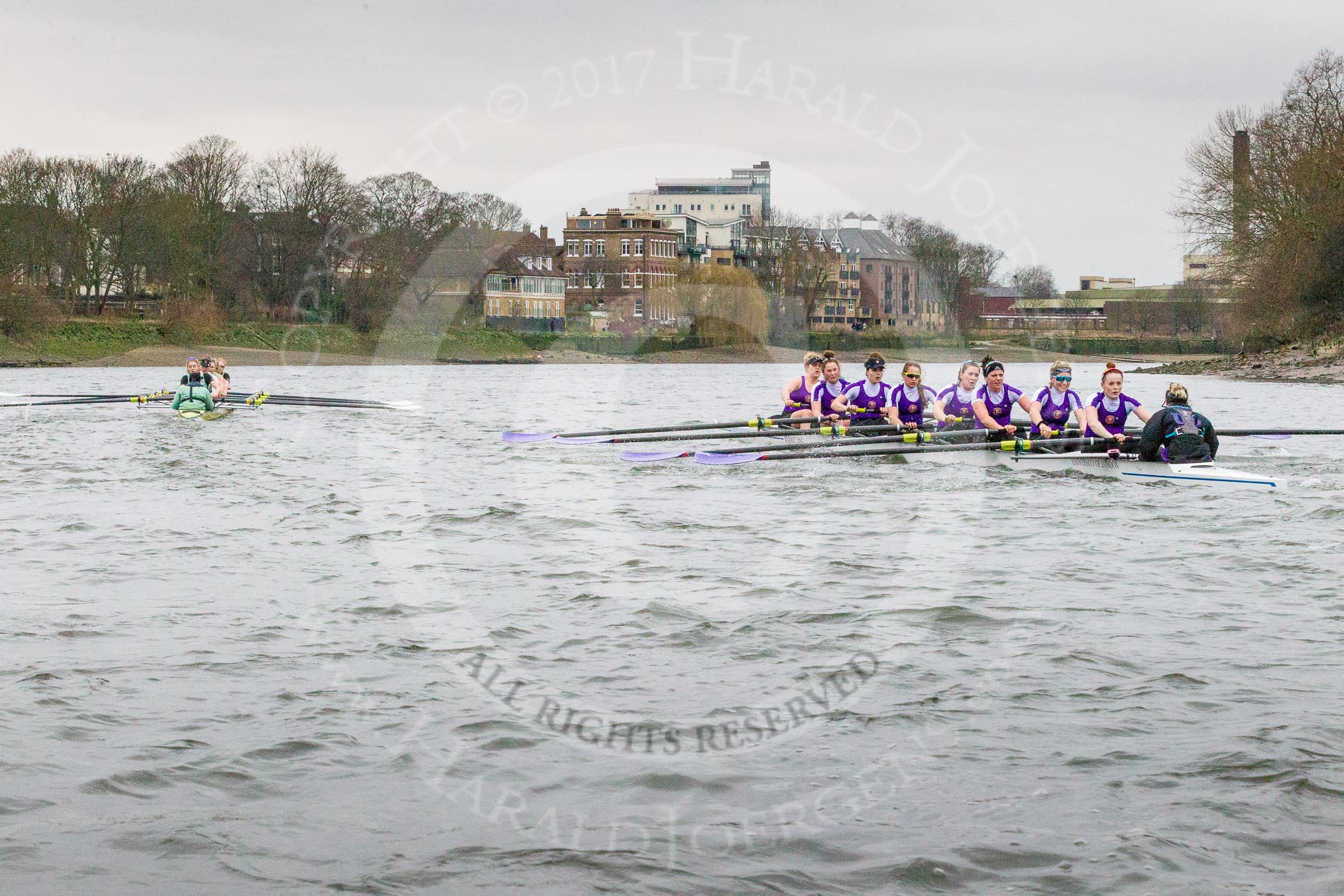 The Boat Race season 2017 - Women's Boat Race Fixture CUWBC vs Univerity of London: The CUWBC eight, leading by well over a length after Barnes Bridge during the 2nd piece of the fixture.
River Thames between Putney Bridge and Mortlake,
London SW15,

United Kingdom,
on 19 February 2017 at 16:25, image #132