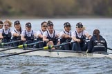 The Cancer Research UK Boat Race season 2017 - Women's Boat Race Fixture OUWBC vs Molesey BC.
River Thames between Putney Bridge and Mortlake,
London SW15,

United Kingdom,
on 19 March 2017 at 16:02, image #59
