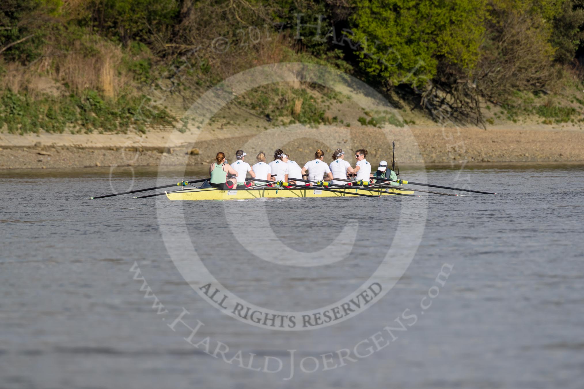 The Boat Race season 2017 -  The Cancer Research Women's Boat Race: CUWBC east of Barnes Railway Bridge before the start of the Women's Boat Race.
River Thames between Putney Bridge and Mortlake,
London SW15,

United Kingdom,
on 02 April 2017 at 16:23, image #101