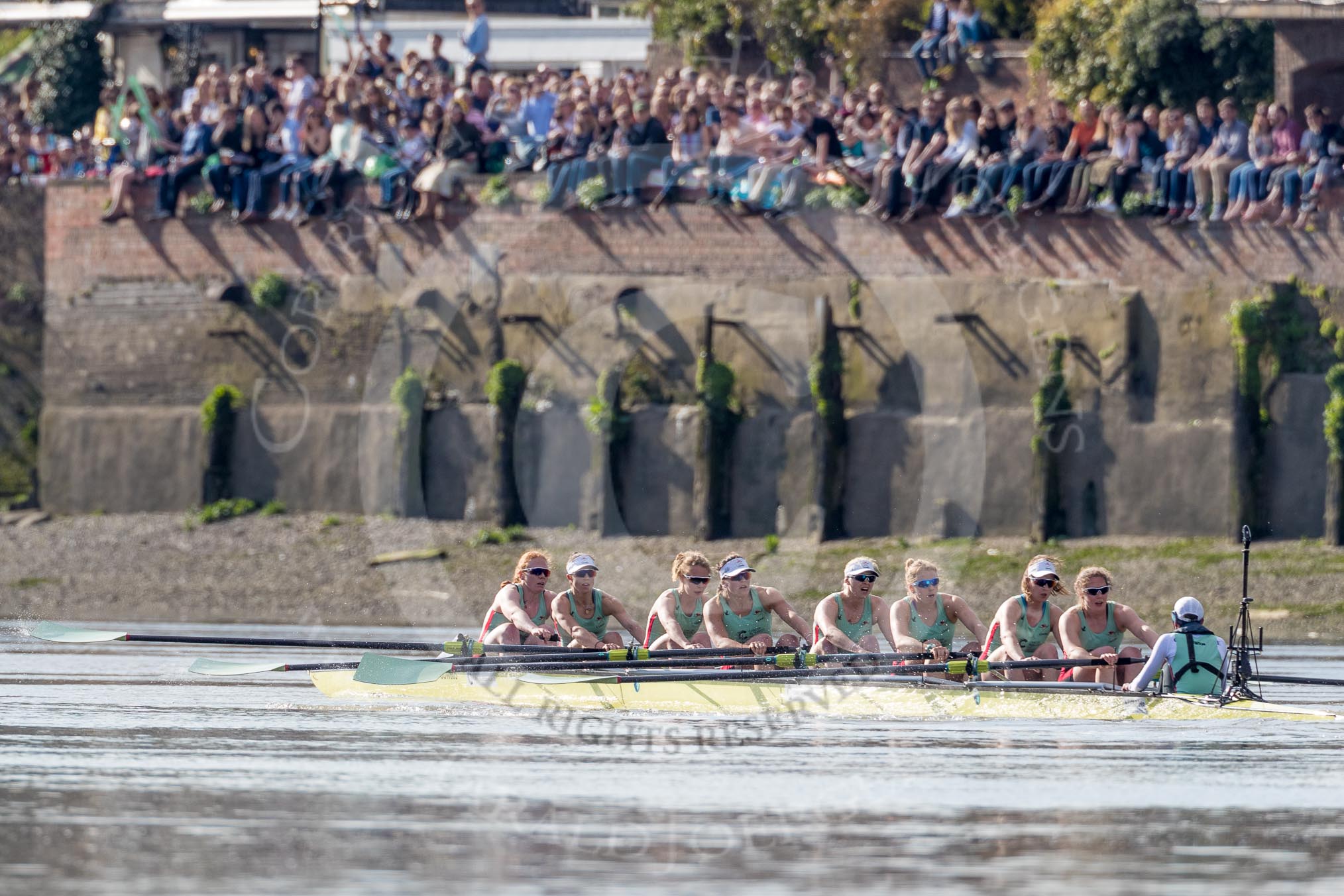 Photo 1704021643461X29609HaraldJoergens The Boat Race season 2017 - The Cancer Research Women's Boat Race: CUWBC after Hammersmith Bridge. with crowds lining the Lower Mall - bow Ashton Brown, 2 Imogen Grant, 3 Claire Lambe, 4 Anna Dawson, 5 Holly Hill, 6 Alice White, 7 Myriam Goudet, stroke Melissa Wilson, cox Matthew Holland.
River Thames between Putney Bridge and Mortlake,
London SW15,
United Kingdom,
on 02 April 2017 at 16:43, image #162