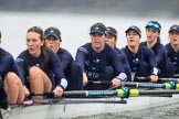 The Boat Race season 2018 - Women's Boat Race Trial Eights (OUWBC, Oxford): "Great Typhoon" - 7 Abigail Killen, 6 Sara Kushma, 5 Olivia Pryer, 4 Linda Van Bijsterveldt, 3 Madeline Goss, 2 Laura Depner, bow Matilda Edwards.
River Thames between Putney Bridge and Mortlake,
London SW15,

United Kingdom,
on 21 January 2018 at 14:39, image #142